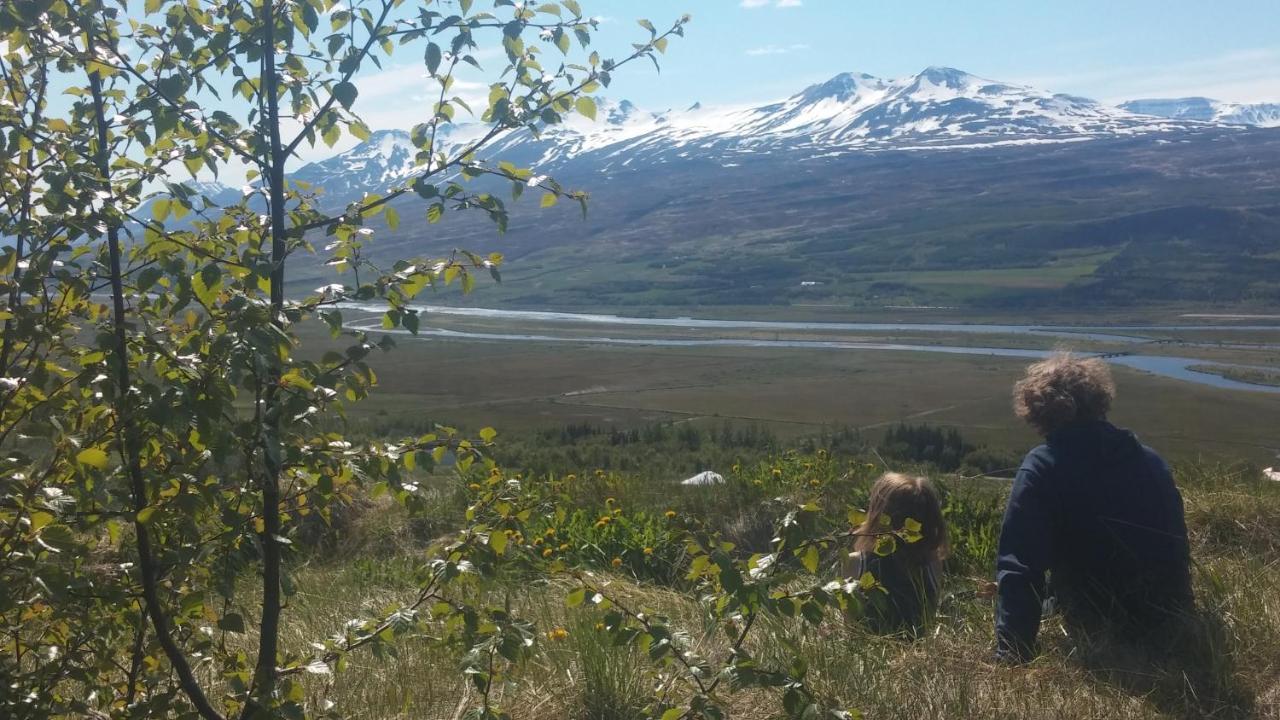 Iceland Yurt Акурейрі Екстер'єр фото