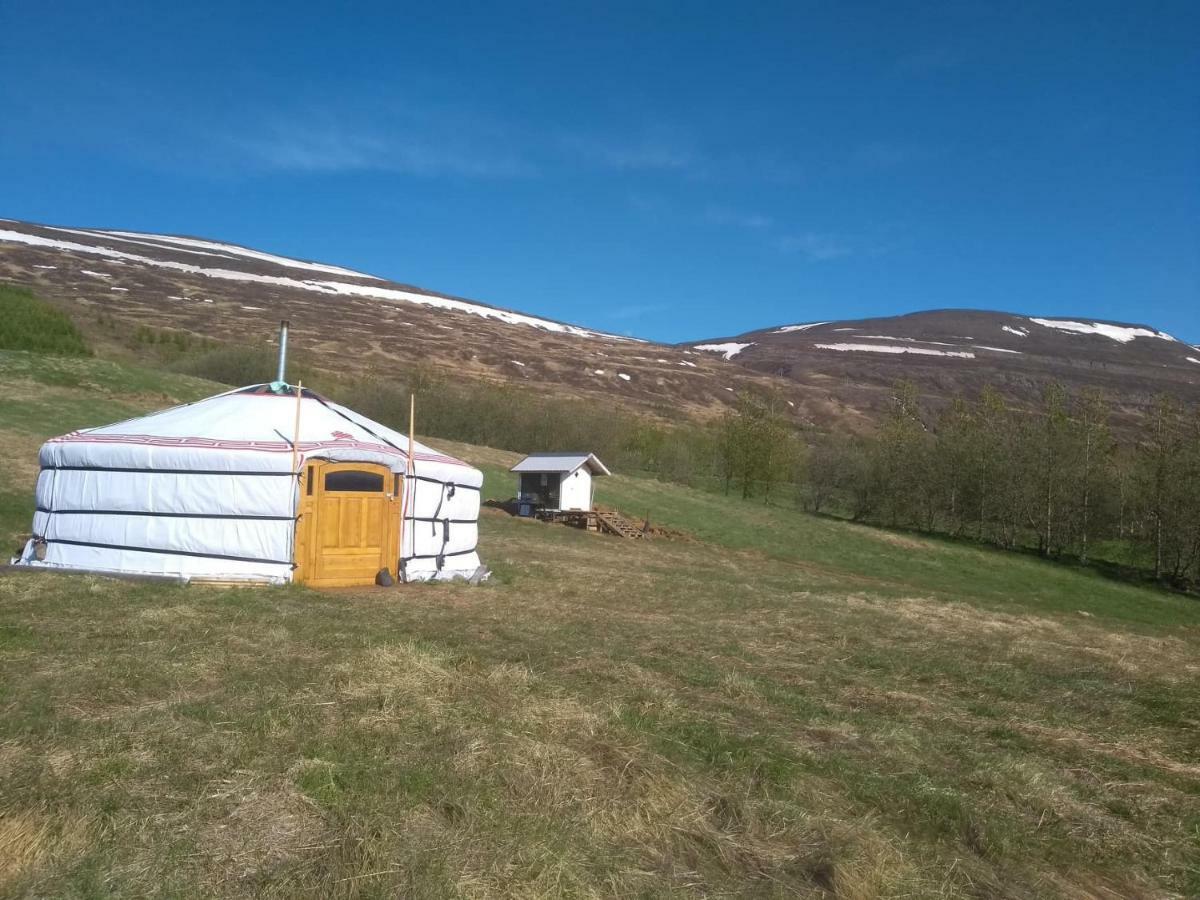 Iceland Yurt Акурейрі Екстер'єр фото