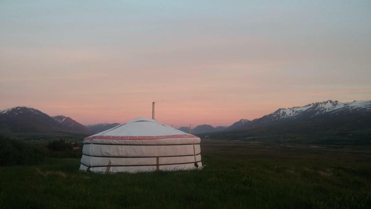 Iceland Yurt Акурейрі Екстер'єр фото